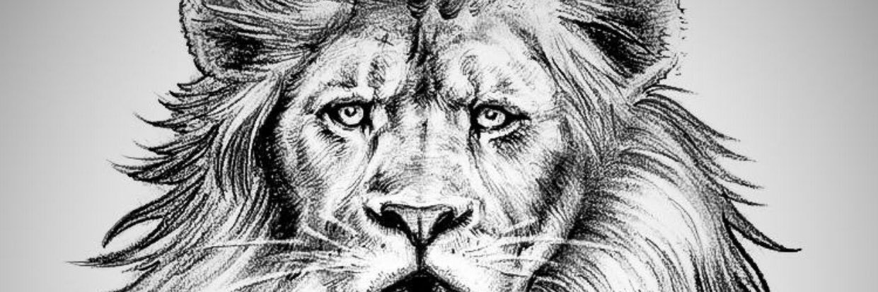Kyng_b3's profile banner image