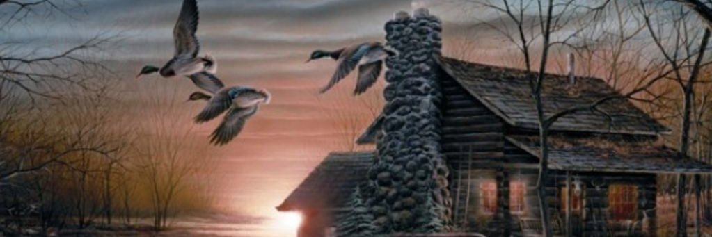 nance2871's profile banner image