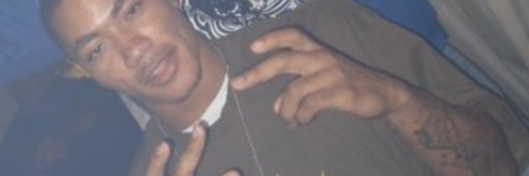 Phoenix🐦‍🔥 banner