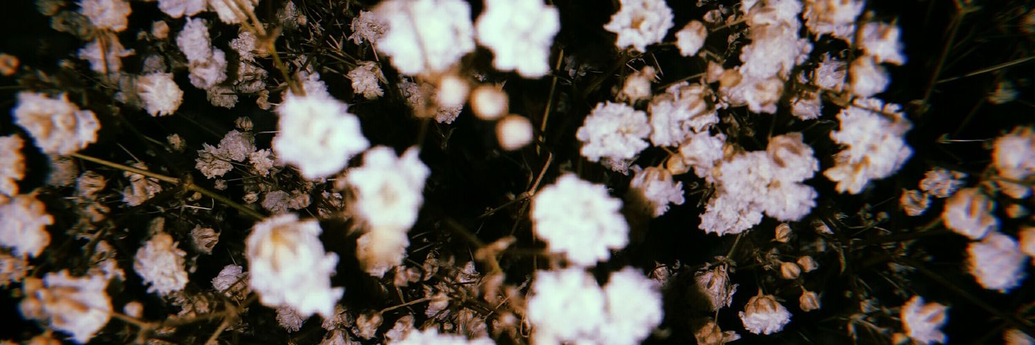 Su15031's profile banner image