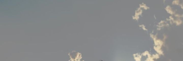etherealcapri's profile banner image