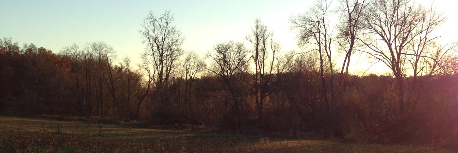 PharmBoyRyan's profile banner image