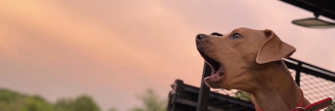 MeghanMurkin's profile banner image