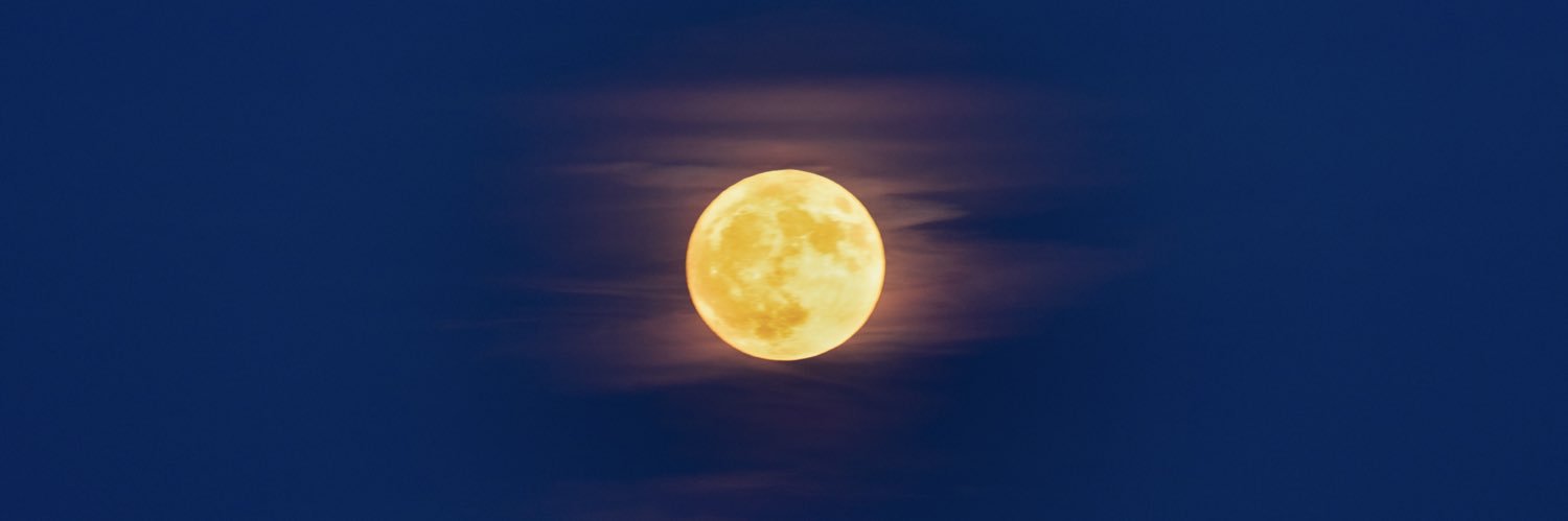 @zozzpix banner