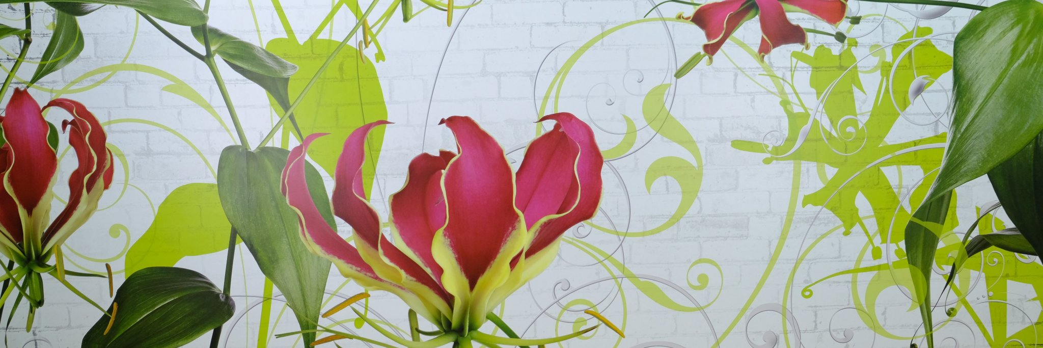 StudioCamelia's profile banner image