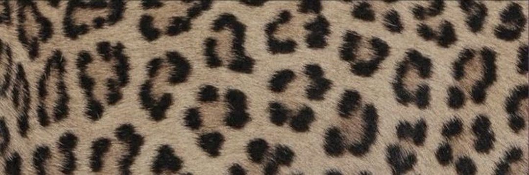 buzzybuzzyy's profile banner image