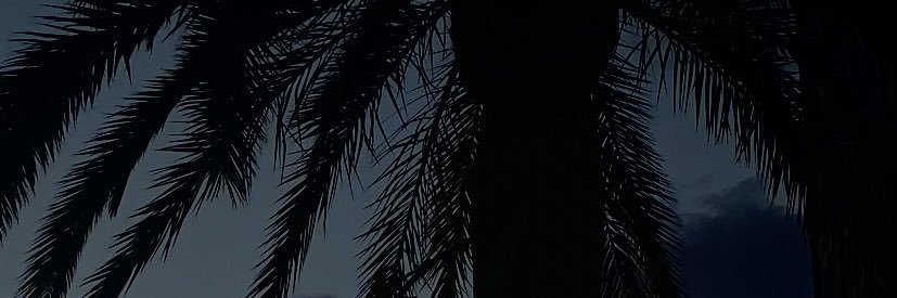 ManonBieb's profile banner image