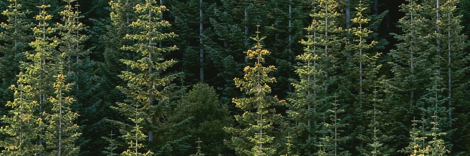 levinsonchow's profile banner image