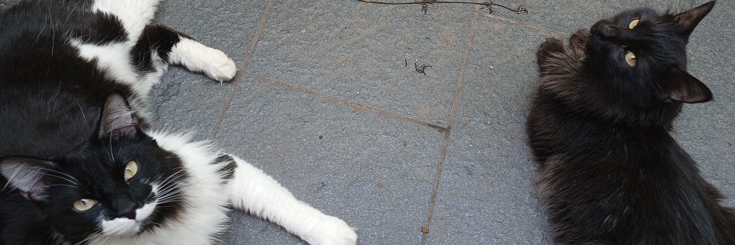 TTomasB's profile banner image