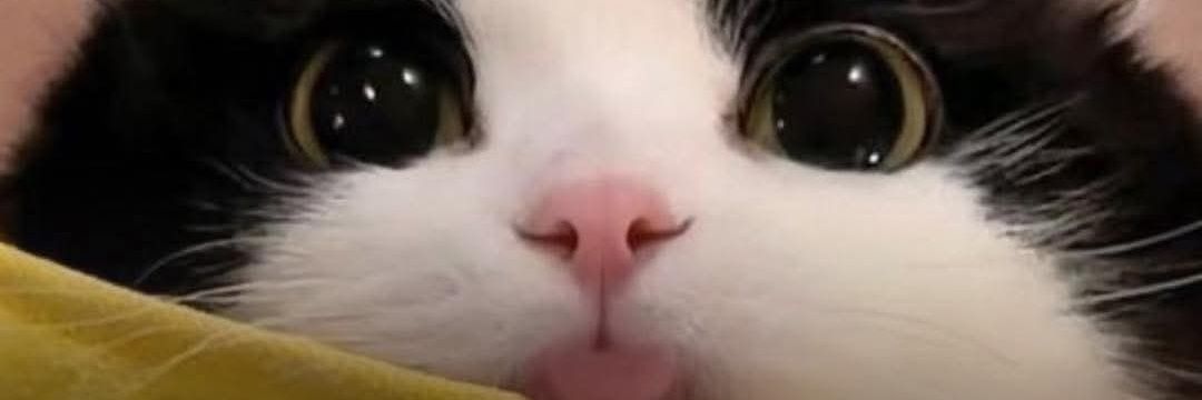 M E R C E D E S 💕 banner