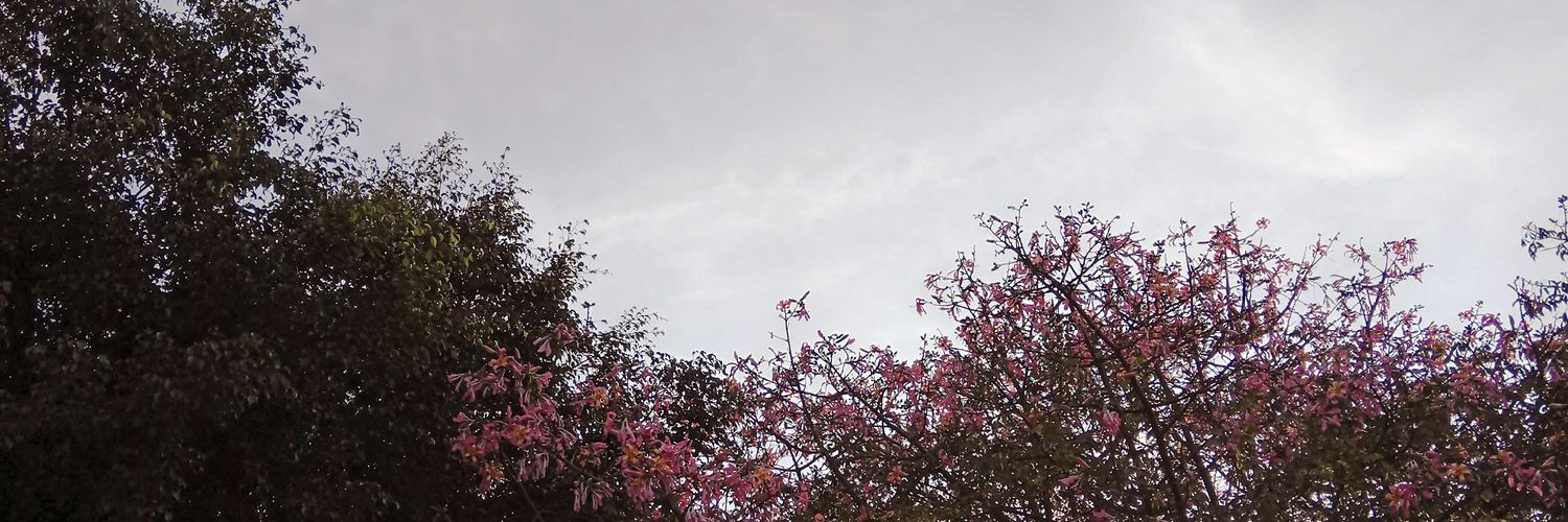 victorerito's profile banner image