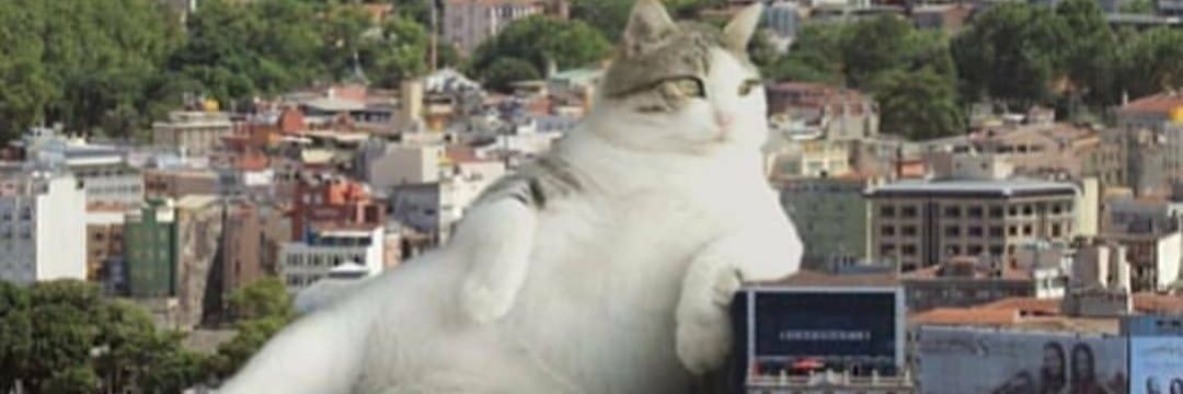 mfffuents_'s profile banner image