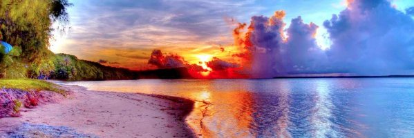 TdJesus banner