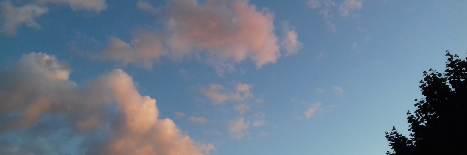 Claudio Screpanti banner