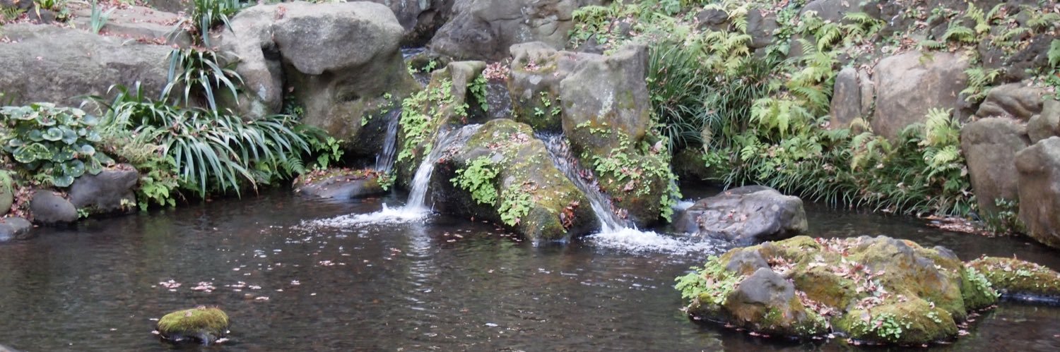 layzner_03 𓃰🍓 banner