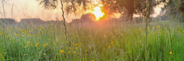 HappyThings2020 Profile Banner