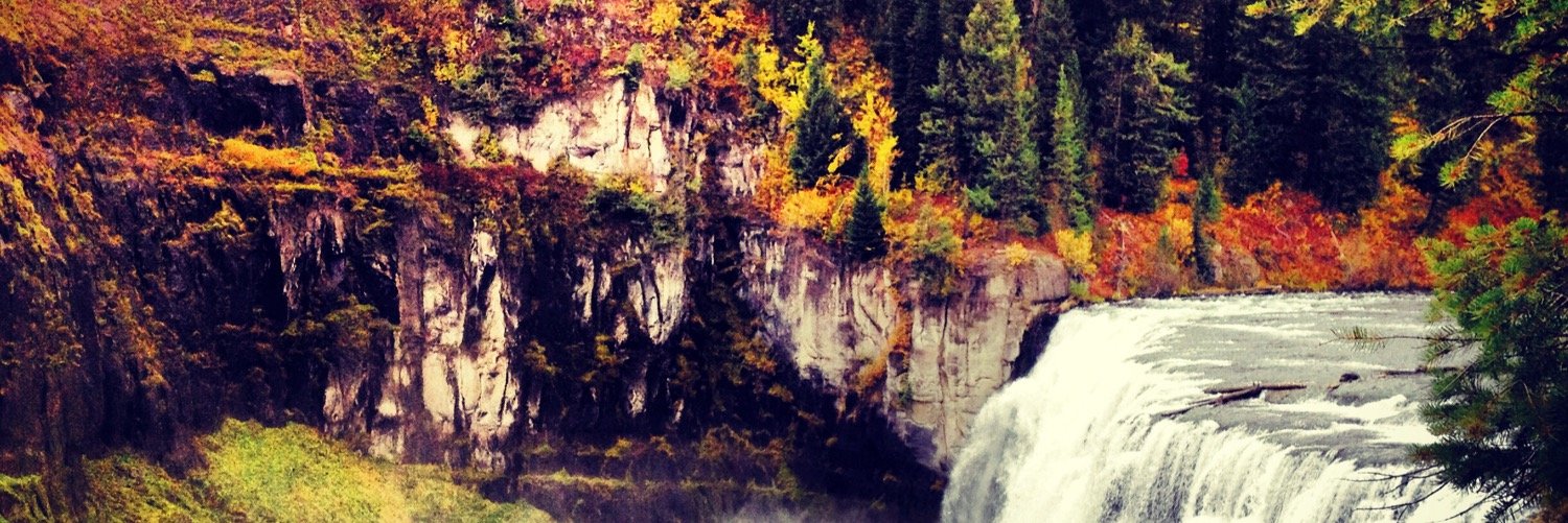 tony6string's profile banner image