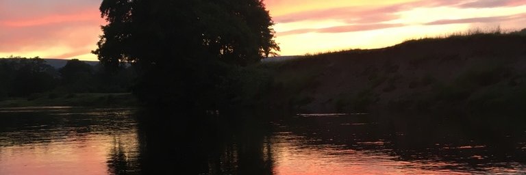 C&DAS Members banner