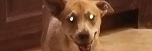 IntenseWeeaboo's profile banner image