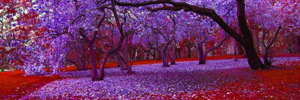 LaQuinVi 🌬🌪 banner