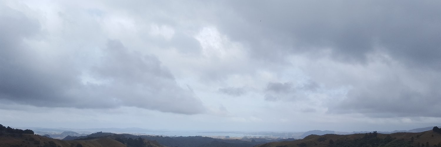 darkhorsenz's profile banner image