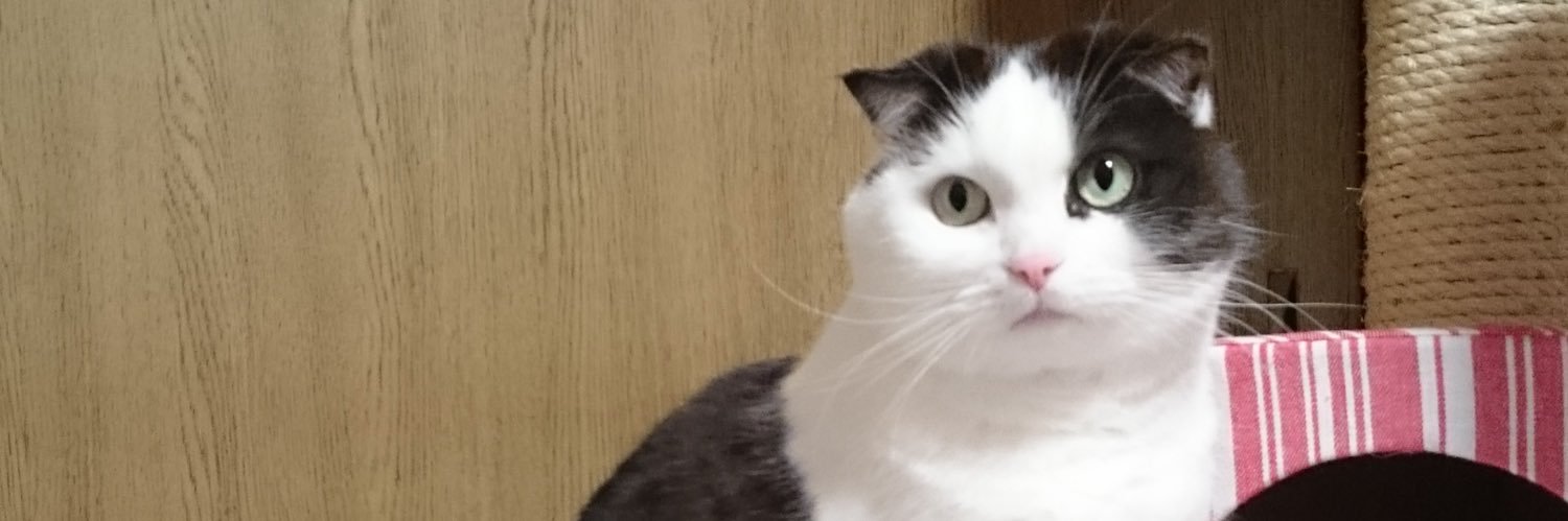 janneda69's profile banner image