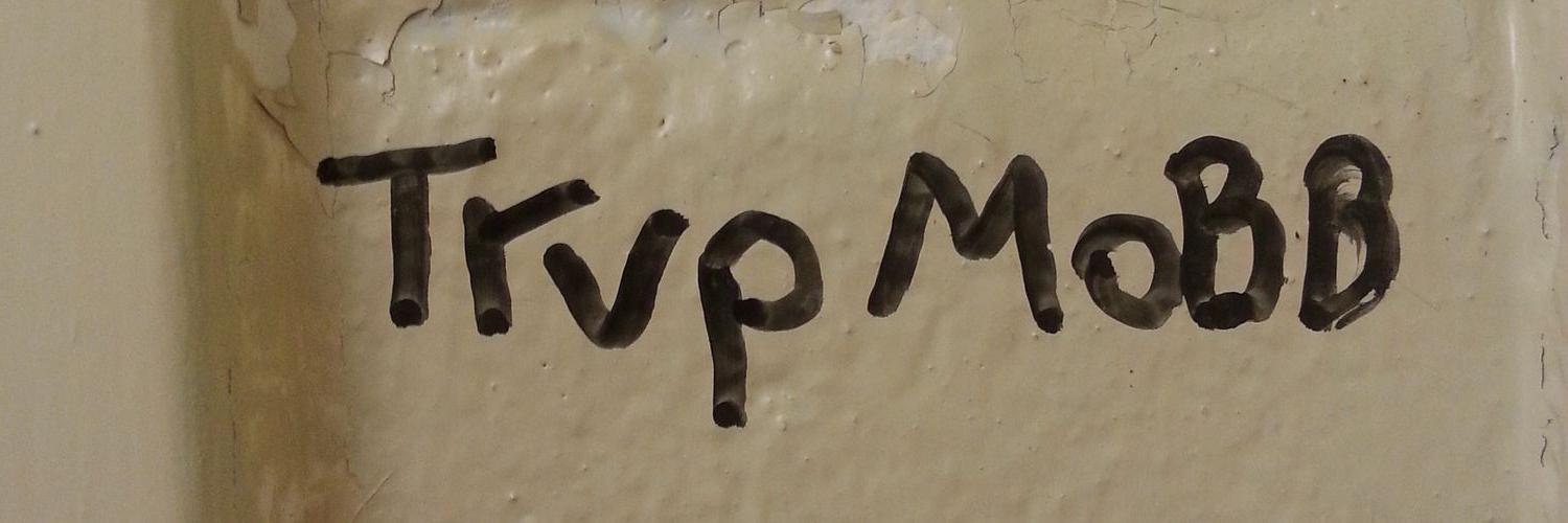 ASVPWAMS's profile banner image