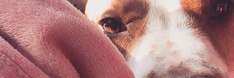 mallory_morneau's profile banner image