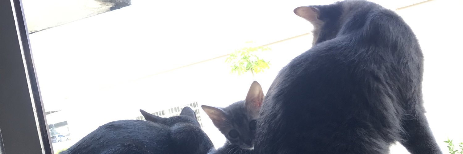 DeboracRegina's profile banner image