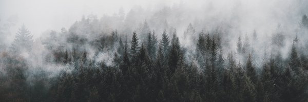 itseaup Profile Banner
