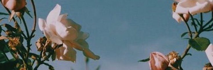 lorhlorh's profile banner image