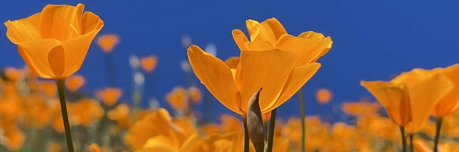 k_websterrrr's profile banner image