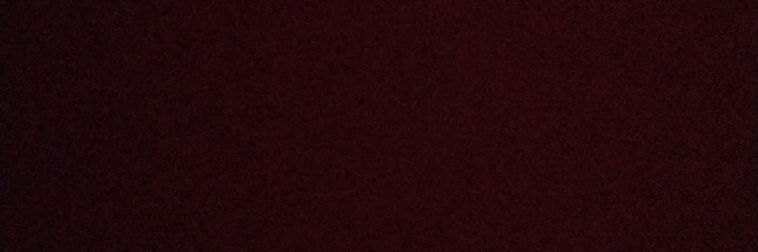malisazikic's profile banner image