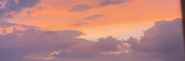 shaelynamber Profile Banner