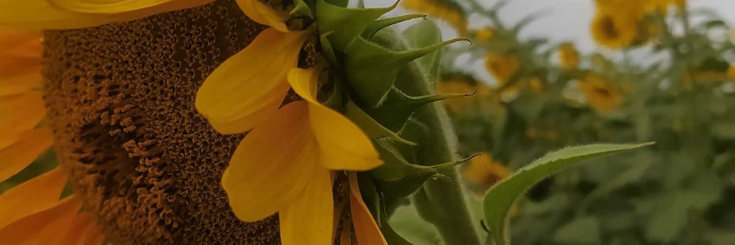 itswinnybitch's profile banner image