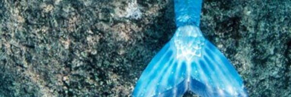 lauralir1 Profile Banner