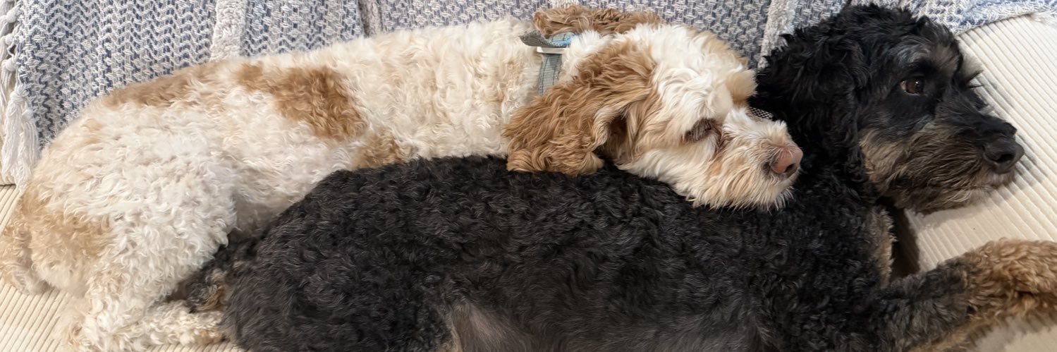 Bailey banner