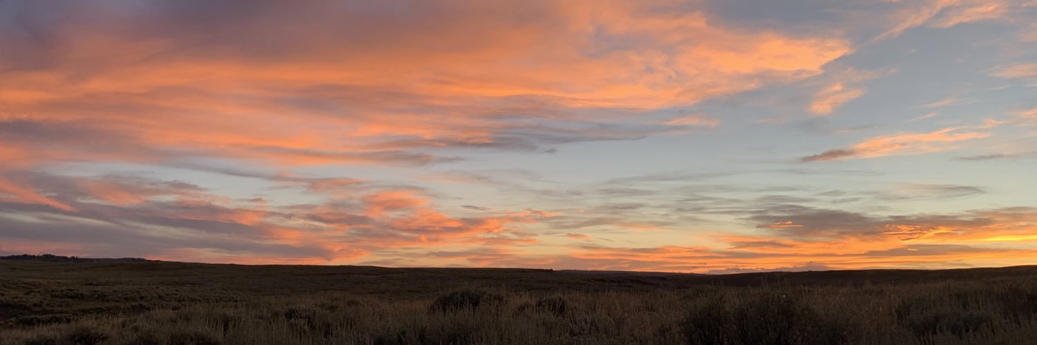meagiee's profile banner image