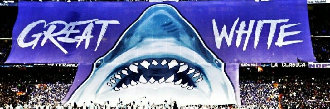 White Shark banner