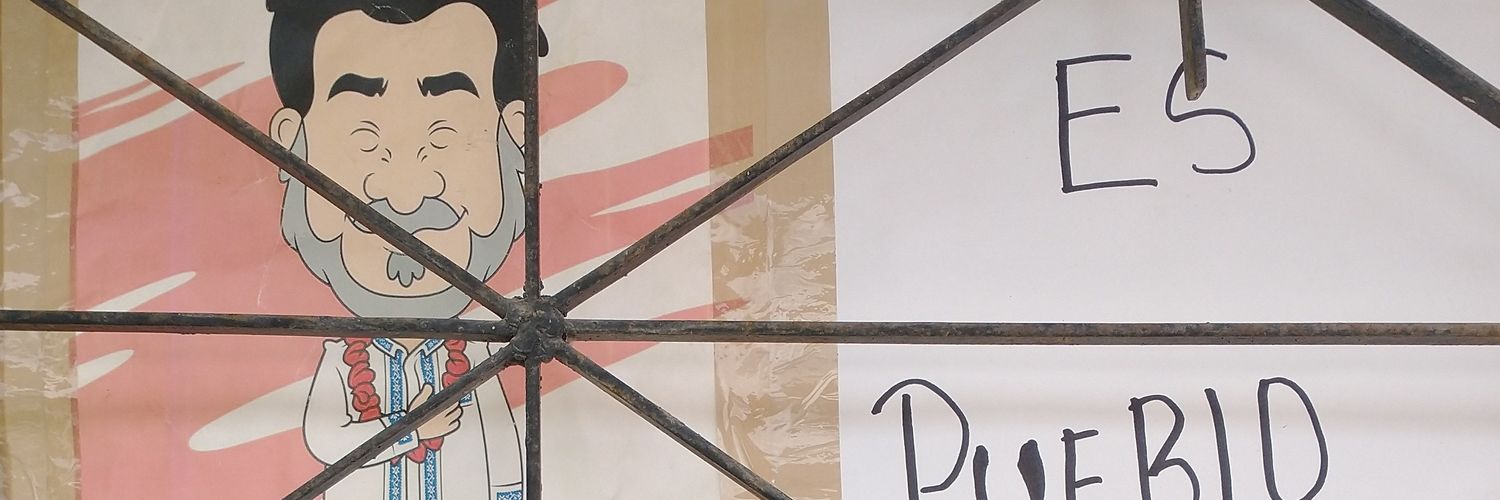 Ana Laris banner