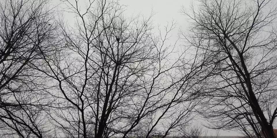 JessieAsley's profile banner image