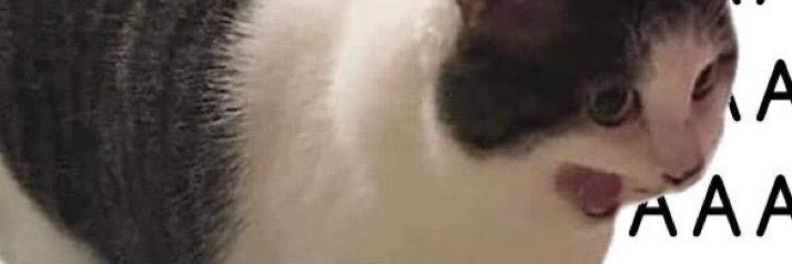 sitinaimmatun's profile banner image