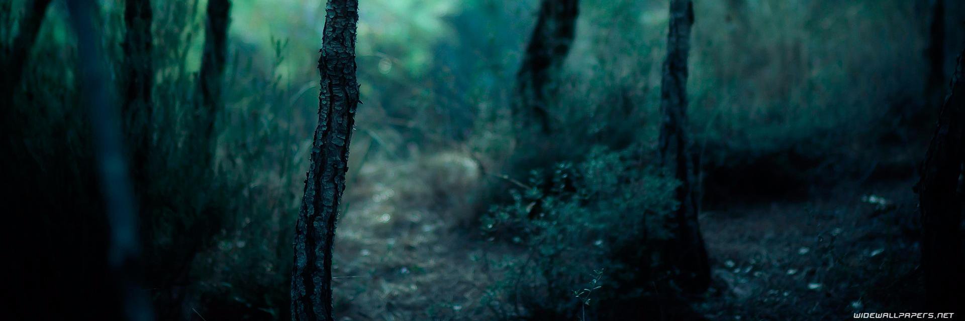registroVBD's profile banner image