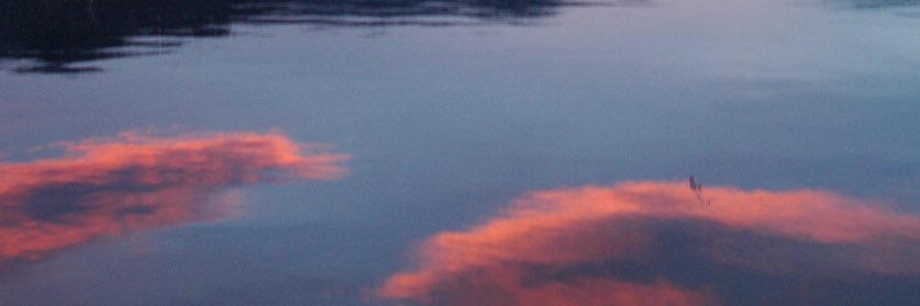 angus_adam's profile banner image