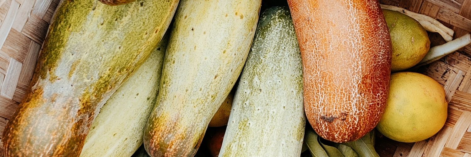 SibajipPanda's profile banner image