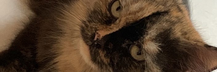 affhmrdh's profile banner image