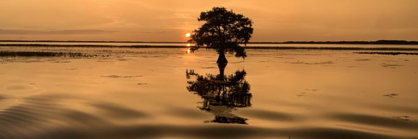 ProfRobAnderson Profile Banner