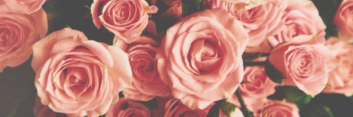 MLPratley's profile banner image
