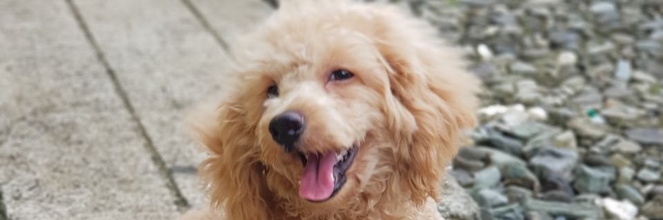 brucebill's profile banner image
