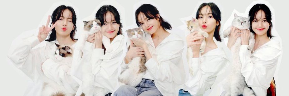 m⩊m banner